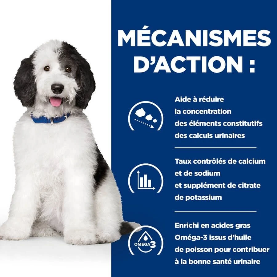 Hill's Prescription Diet Canine C/D Urinary Care Mijotés Au Poulet 12 X 354 Grs – Image 4