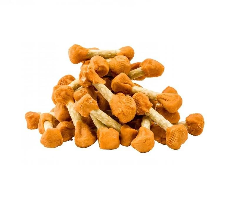 Good Boy Altères Au Poulet 100 Grs – Image 2