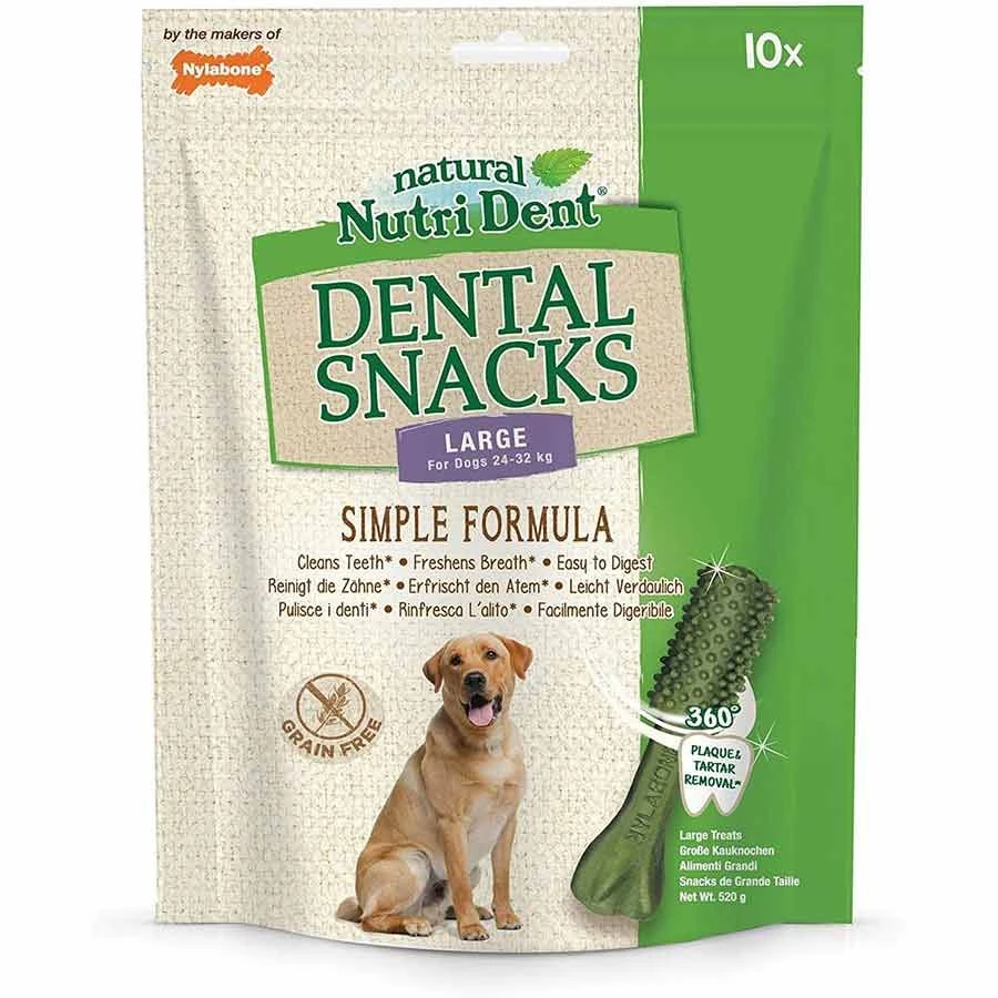 Nylabone Nutri Dent L Friandises Dentaires X10