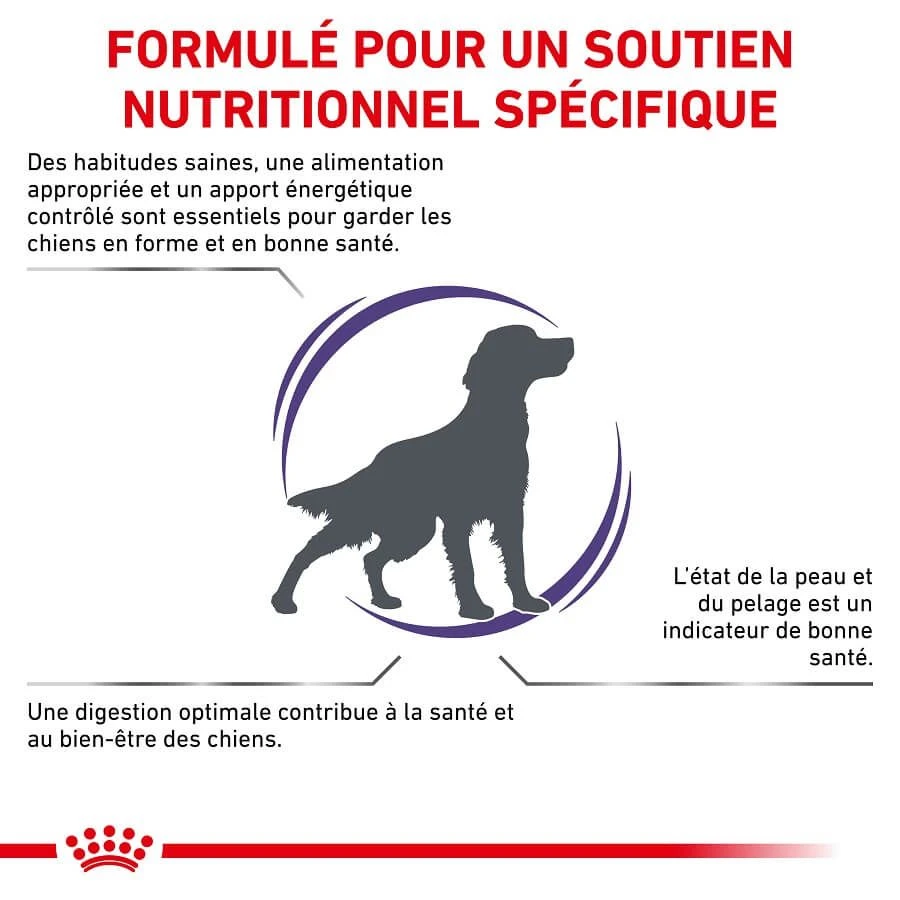 Royal Canin Veterinary Medium Dog Adult 4 Kg â Image 2