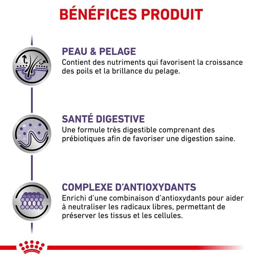 Royal Canin Veterinary Medium Dog Adult 4 Kg â Image 4