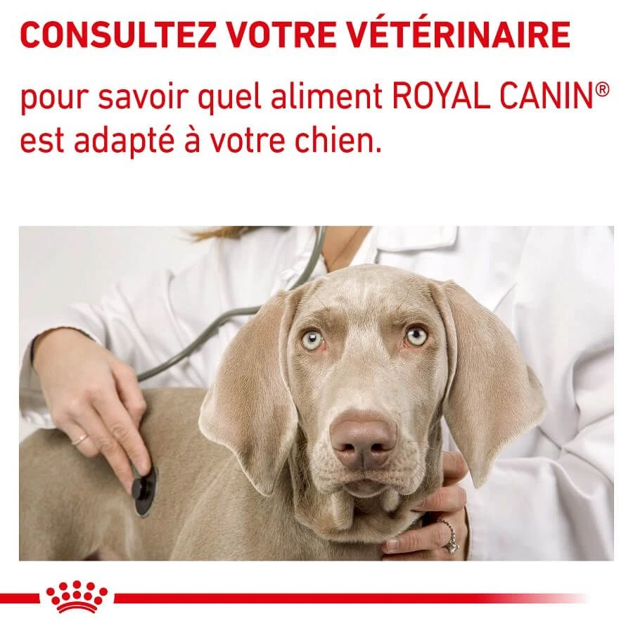 Royal Canin Veterinary Medium Dog Adult 4 Kg â Image 8