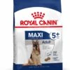 Royal Canin Maxi Adult + De 5 Ans 4 Kg
