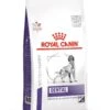Royal Canin Vet Chien Medium & Large Dog Dental 13 Kg